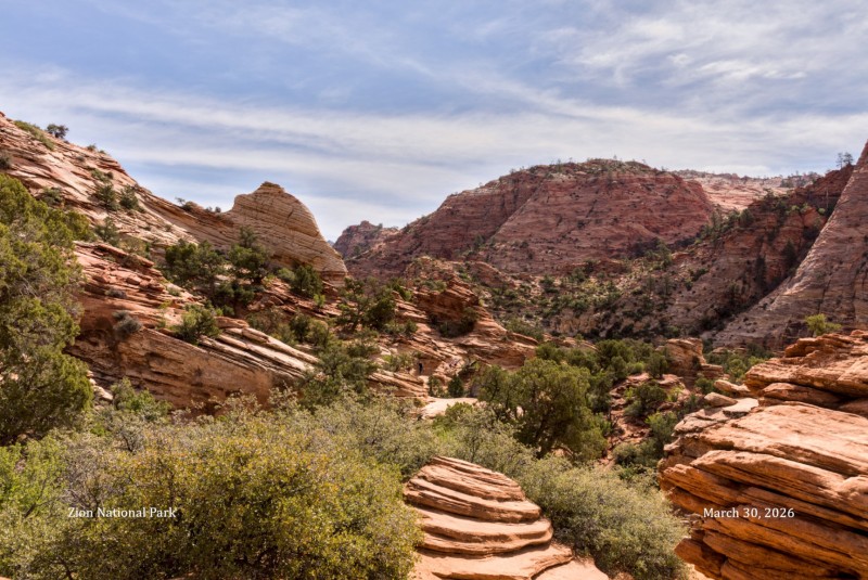 Zion National Park