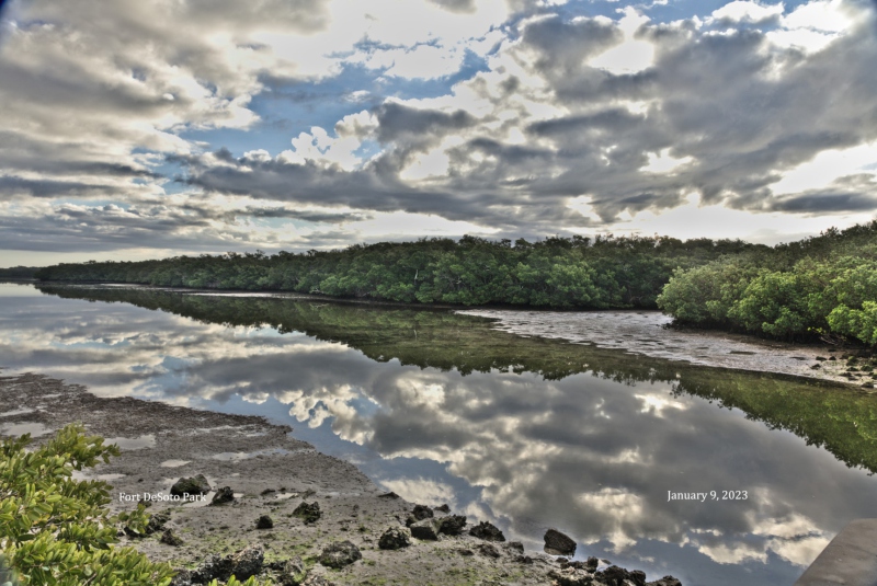 Cloudscape Reflections