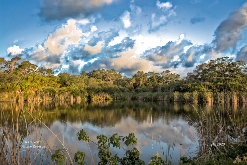 Early Morning Reflections