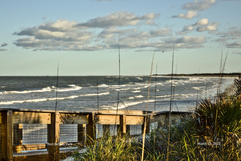Gulf Beach