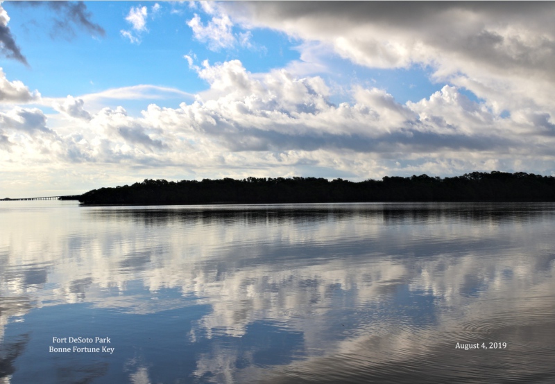 Calm Morning Reflections
