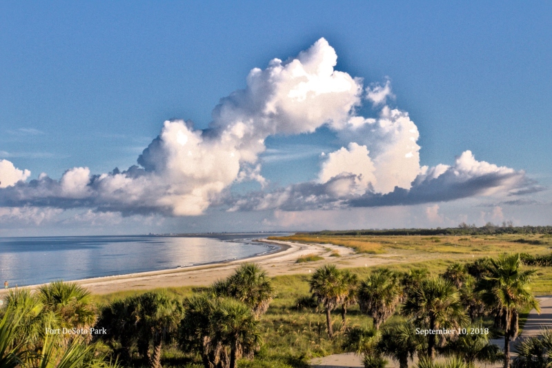 Looking North from Fort DeSoto
