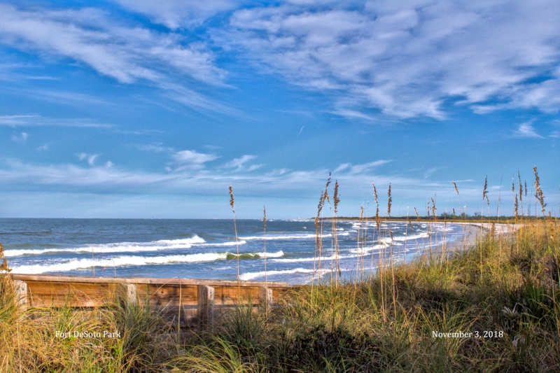 Gulf Beach