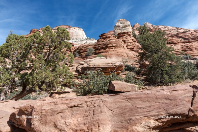 Zion National Park