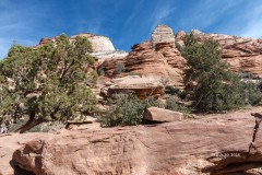 Zion National Park