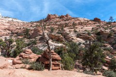 Zion National Park