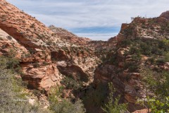 Zion National Park